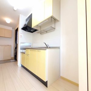 ラフィーネA 206号-3