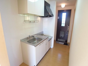 エミネンスＡ 201号-7