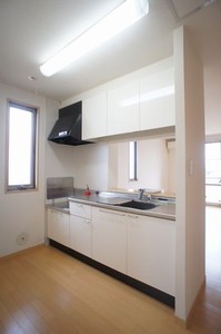 ウェルコートA 201号-8