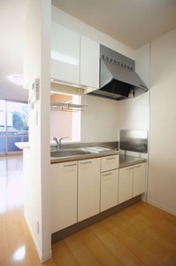 シルクタウンⅡ　Ｂ 102号-3