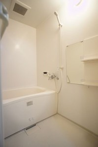 シルクタウンⅡ　Ｂ 102号-4