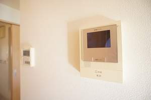 アムールＡ 201号-11