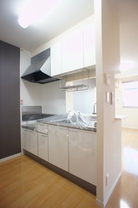 セピアコートA 101号-3