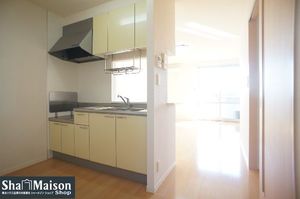 ケイズリンクC 203号-4