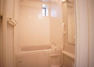 ディアス・コスモ大泉　壱番館 201号-8