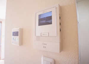 ディアス・コスモ大泉　壱番館 201号-10