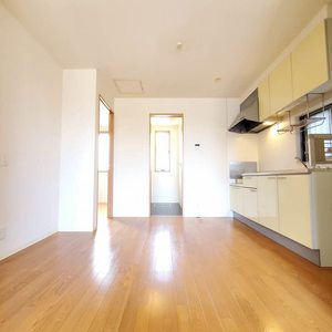 ビグディパＡ 103号-3