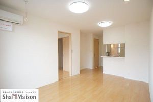 カーネーション　Ｂ 102号-3