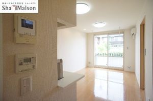 カーネーション　Ｂ 102号-8