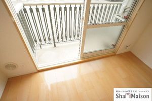 カーネーション　Ｂ 102号-10