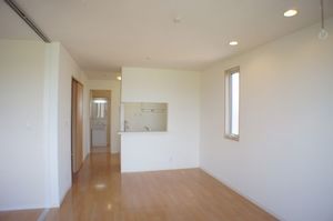 カーネーション B 201号-3