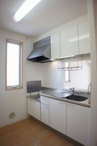 カーネーション B 201号-4