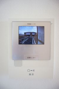 カーネーション B 201号-5