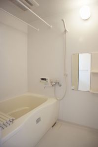 カーネーション B 201号-8