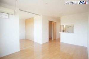 カーネーション　Ｂ 202号-2