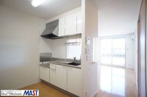 カーネーション　Ｂ 202号-3