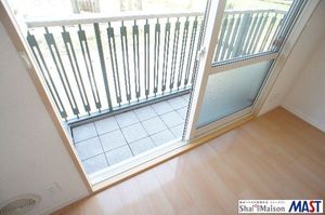 カーネーション　Ｂ 202号-10