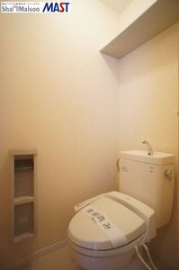 カーネーション　Ｂ 202号-11