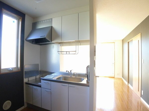 カーネーション　Ｃ 101号-3