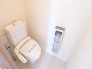 カーネーション　Ｃ 101号-10