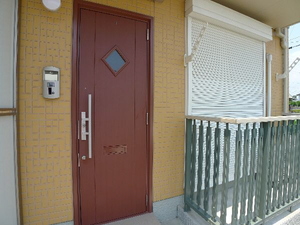 カーネーション　Ｃ 101号-11