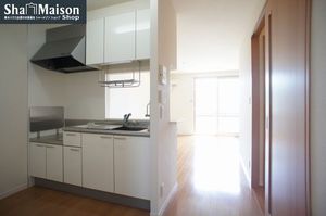 カーネーション C 202号-4