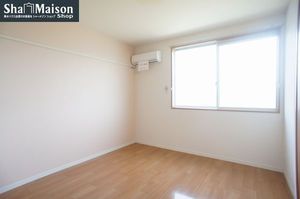 カーネーション C 202号-7