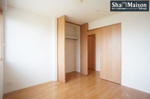 カーネーション C 202号-8