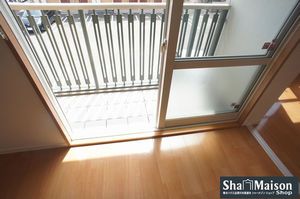 カーネーション C 202号-10