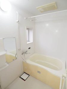 カーネーション　Ｄ 201号-3