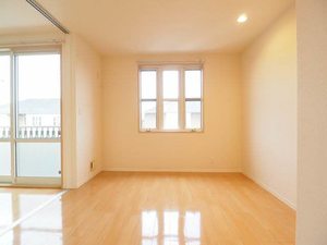 カーネーション　Ｄ 201号-6