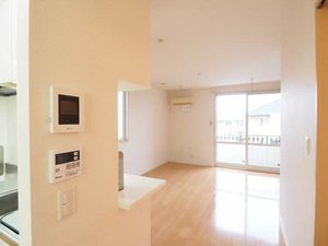 カーネーション　Ｄ 201号-10