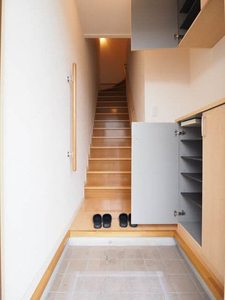 カーネーション　Ｄ 201号-11