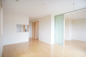 カーネーション　Ｄ 203号-3