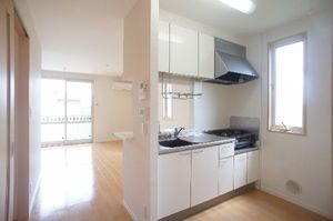 カーネーション　Ｄ 203号-4