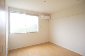 カーネーション　Ｄ 203号-7