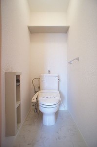 カーネーション　Ｄ 203号-11