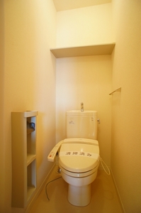 ロイヤルヴィレッジ　Ａ 203号-8