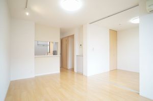 ライズ・プラミネントＢ 102号-3