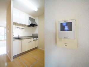 ライズ・プラミネントＢ 102号-4