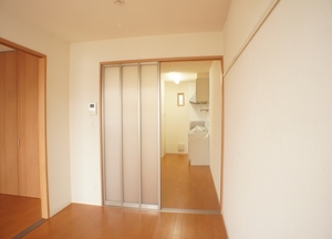 ペガサス　Ｂ 205号-3