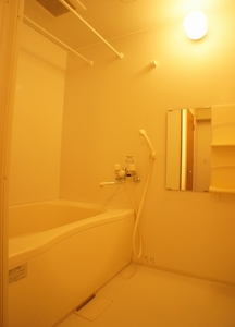 ペガサス　Ｂ 205号-9