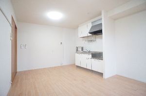 ペガサス　Ｄ 103号-3