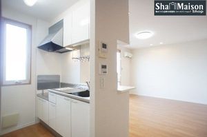 フィール 202号-3