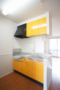 ブリリアントＡ 202号-5