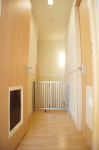 ウエルⅡ 201号-11