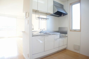 レーベンドルフF 203号-3