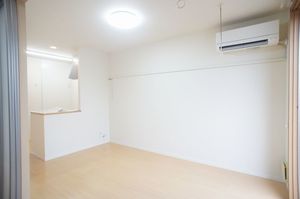 ラフィーネコート 205号-3