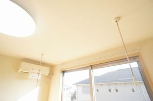 ウェリナパレス 202号-11