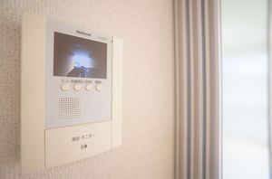 ウェリナパレス 203号-11